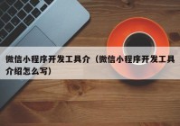 微信小程序開(kāi)發(fā)工具介（微信小程序開(kāi)發(fā)工具介紹怎么寫(xiě)）