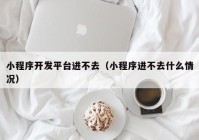 小程序開(kāi)發(fā)平臺(tái)進(jìn)不去（小程序進(jìn)不去什么情況）