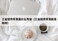 工業(yè)軟件開(kāi)發(fā)是什么專業(yè)（工業(yè)軟件開(kāi)發(fā)前景如何）