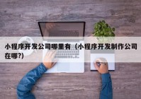 小程序開(kāi)發(fā)公司哪里有（小程序開(kāi)發(fā)制作公司在哪?）