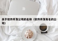 關(guān)于軟件開(kāi)發(fā)公司的名稱（軟件開(kāi)發(fā)有名的公司）