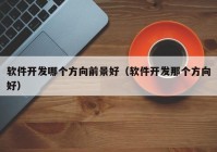 軟件開發(fā)哪個(gè)方向前景好（軟件開發(fā)那個(gè)方向好）