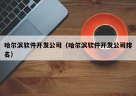 哈爾濱軟件開(kāi)發(fā)公司（哈爾濱軟件開(kāi)發(fā)公司排名）