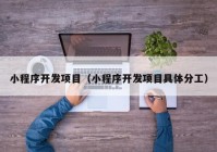 小程序開發(fā)項目（小程序開發(fā)項目具體分工）