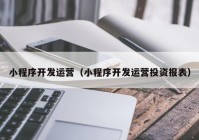 小程序開(kāi)發(fā)運(yùn)營(yíng)（小程序開(kāi)發(fā)運(yùn)營(yíng)投資報(bào)表）