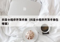 抖音小程序開(kāi)發(fā)手冊(cè)（抖音小程序開(kāi)發(fā)手冊(cè)在哪里）