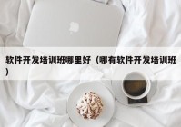 軟件開(kāi)發(fā)培訓(xùn)班哪里好（哪有軟件開(kāi)發(fā)培訓(xùn)班）