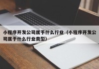 小程序開(kāi)發(fā)公司屬于什么行業(yè)（小程序開(kāi)發(fā)公司屬于什么行業(yè)類(lèi)型）
