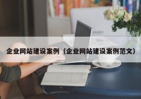 企業(yè)網站建設案例（企業(yè)網站建設案例范文）