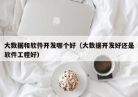 大數(shù)據(jù)和軟件開(kāi)發(fā)哪個(gè)好（大數(shù)據(jù)開(kāi)發(fā)好還是軟件工程好）