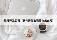 軟件開(kāi)發(fā)公司（軟件開(kāi)發(fā)公司簡(jiǎn)介怎么寫(xiě)）