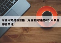 專業(yè)網(wǎng)站建設(shè)價格（專業(yè)的網(wǎng)站建設(shè)公司具備哪些條件）