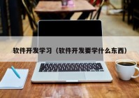 軟件開發(fā)學習（軟件開發(fā)要學什么東西）