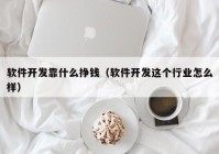 軟件開(kāi)發(fā)靠什么掙錢（軟件開(kāi)發(fā)這個(gè)行業(yè)怎么樣）