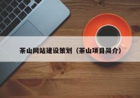茶山網(wǎng)站建設策劃（茶山項目簡介）